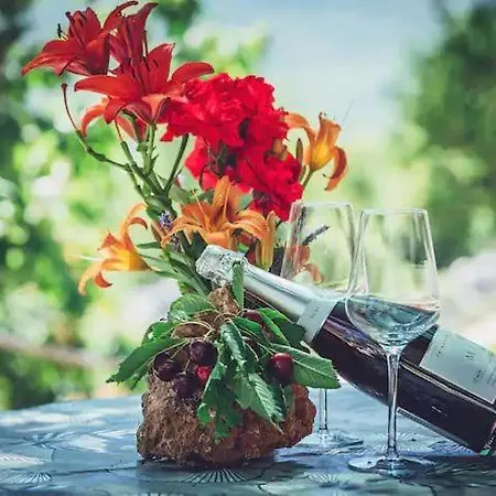 木屋 Robinson Haus Ivan No Electricity *