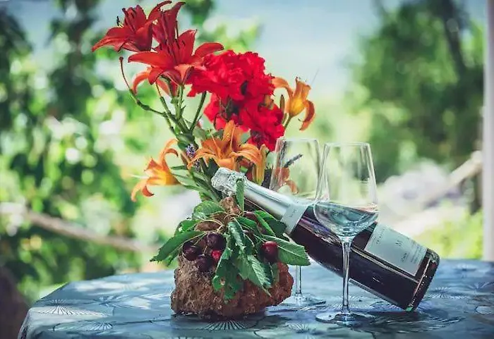 Chalet Robinson Haus Ivan No Electricity *